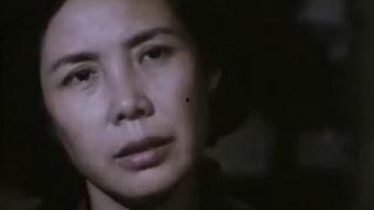 国产经典毛片,光影流转中的时代印记 第3张 国产经典毛片,光影流转中的时代印记 第3张