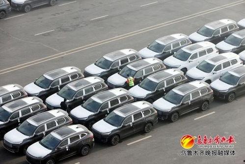 国产图片综合,捕捉时代光影,展现民族风采 第2张 国产图片综合,捕捉时代光影,展现民族风采 第2张